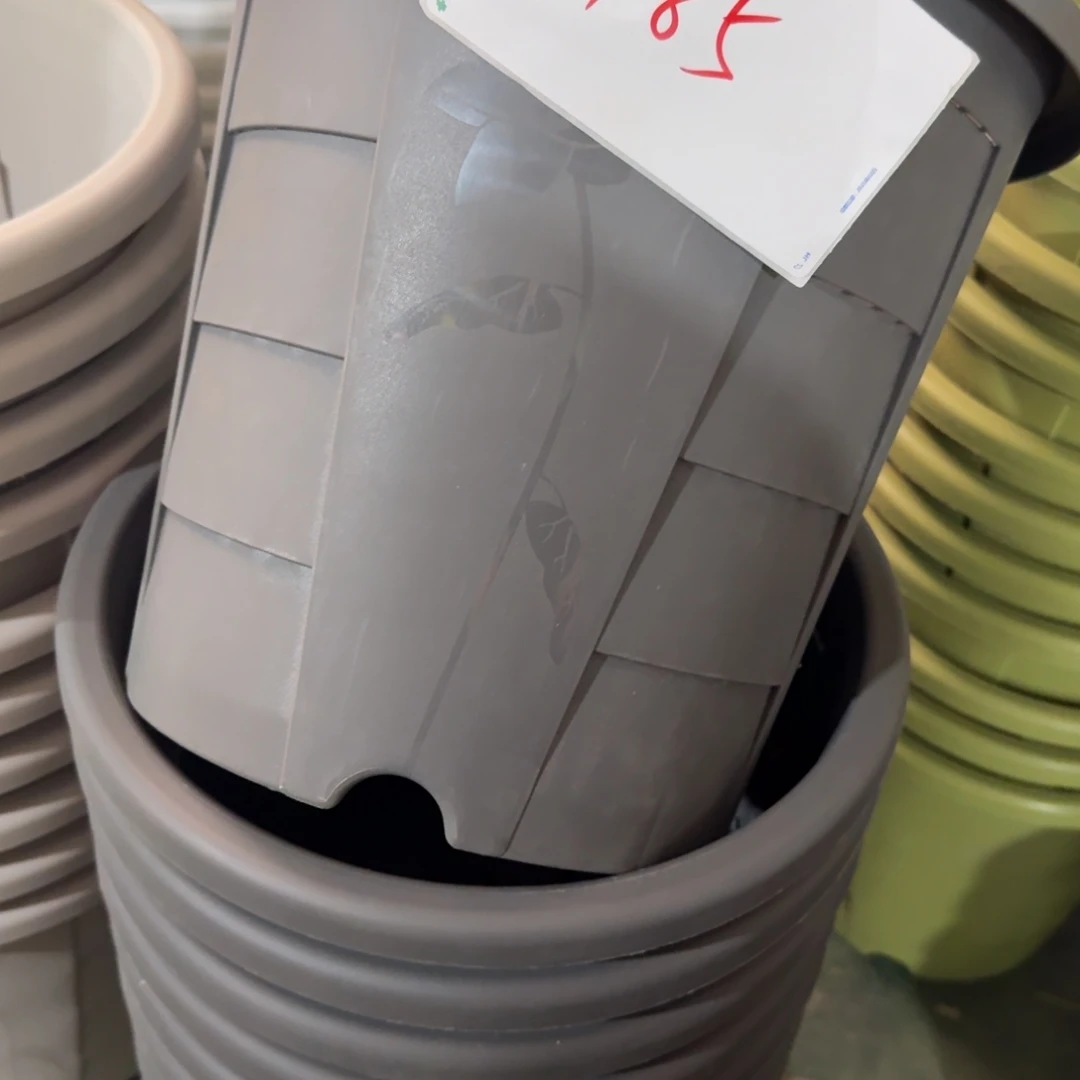 编号185-5个微瑕无拖