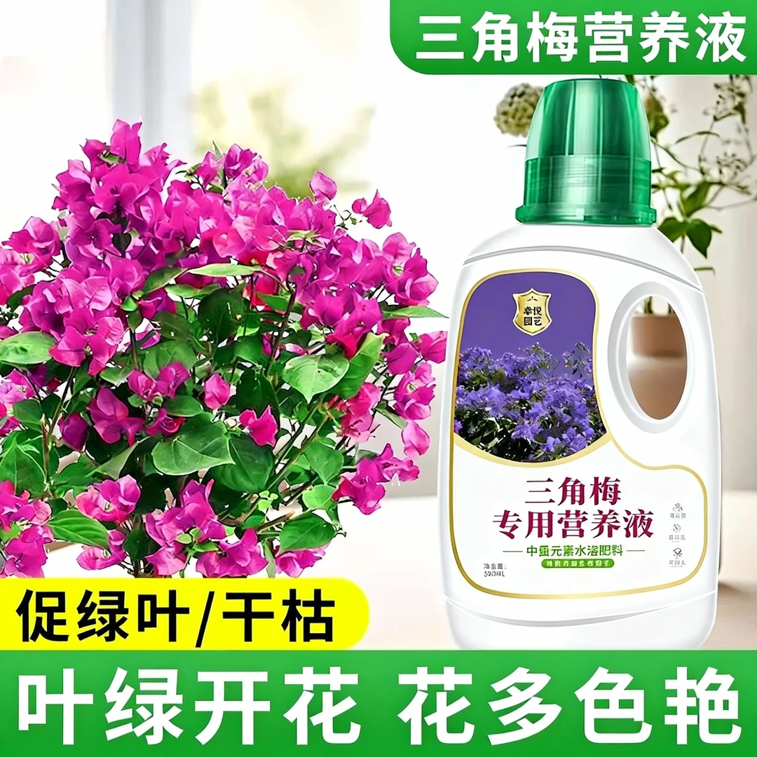 三角梅专用浓缩营养液促开花复花爆花专用营养肥料液体肥水溶肥料