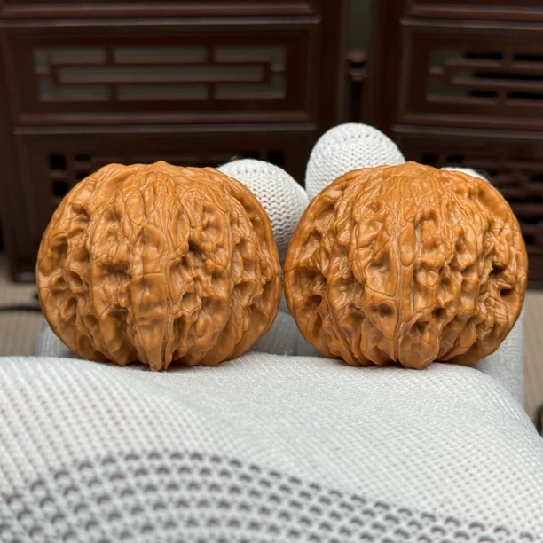 精选老树磨盘狮子头，边43肚41高35，山地老树正磨精配全品一物一图