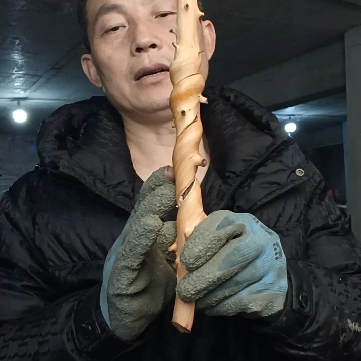 稳定木杜****7贵州檬子木   铁马鞭   根艺  半成品
