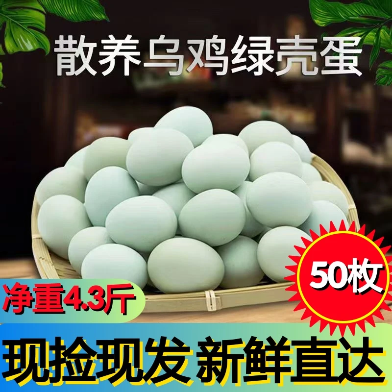 新鲜山林散养绿壳蛋高营养农家土鸡蛋现捡现发