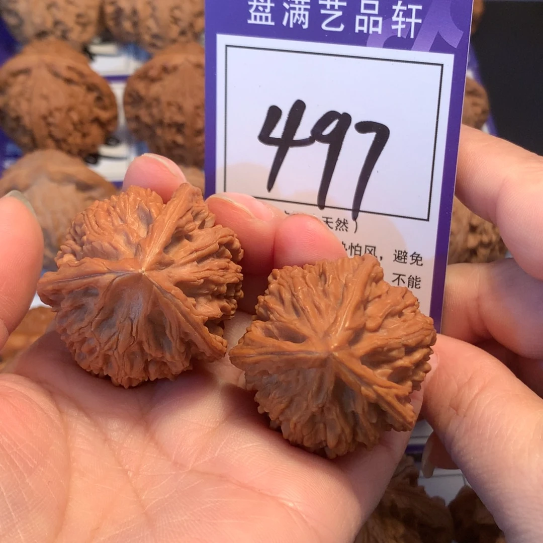 核桃497文山三棱3.7全品