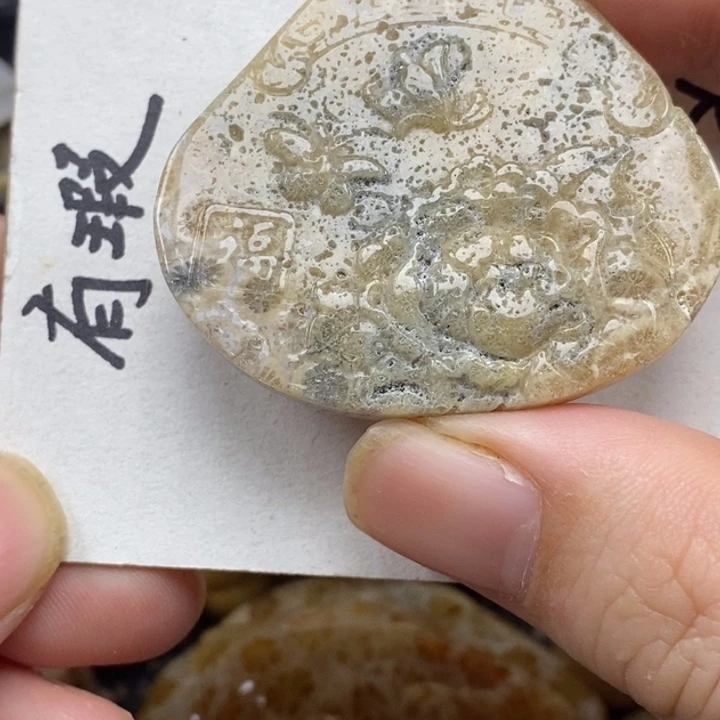 硅化珊瑚（珊瑚玉）未镶嵌颈饰