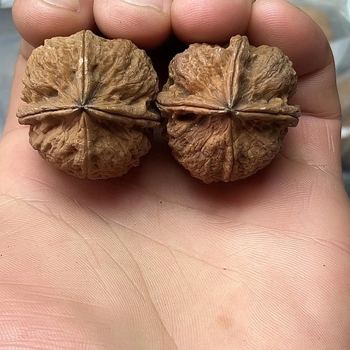 核桃7号四棱四棱手捻33尺
