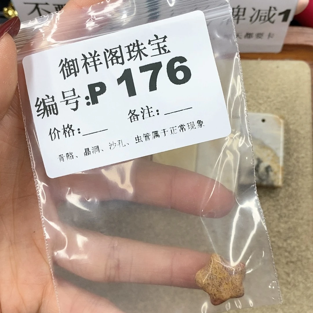硅化珊瑚（珊瑚玉）P未镶嵌墨****