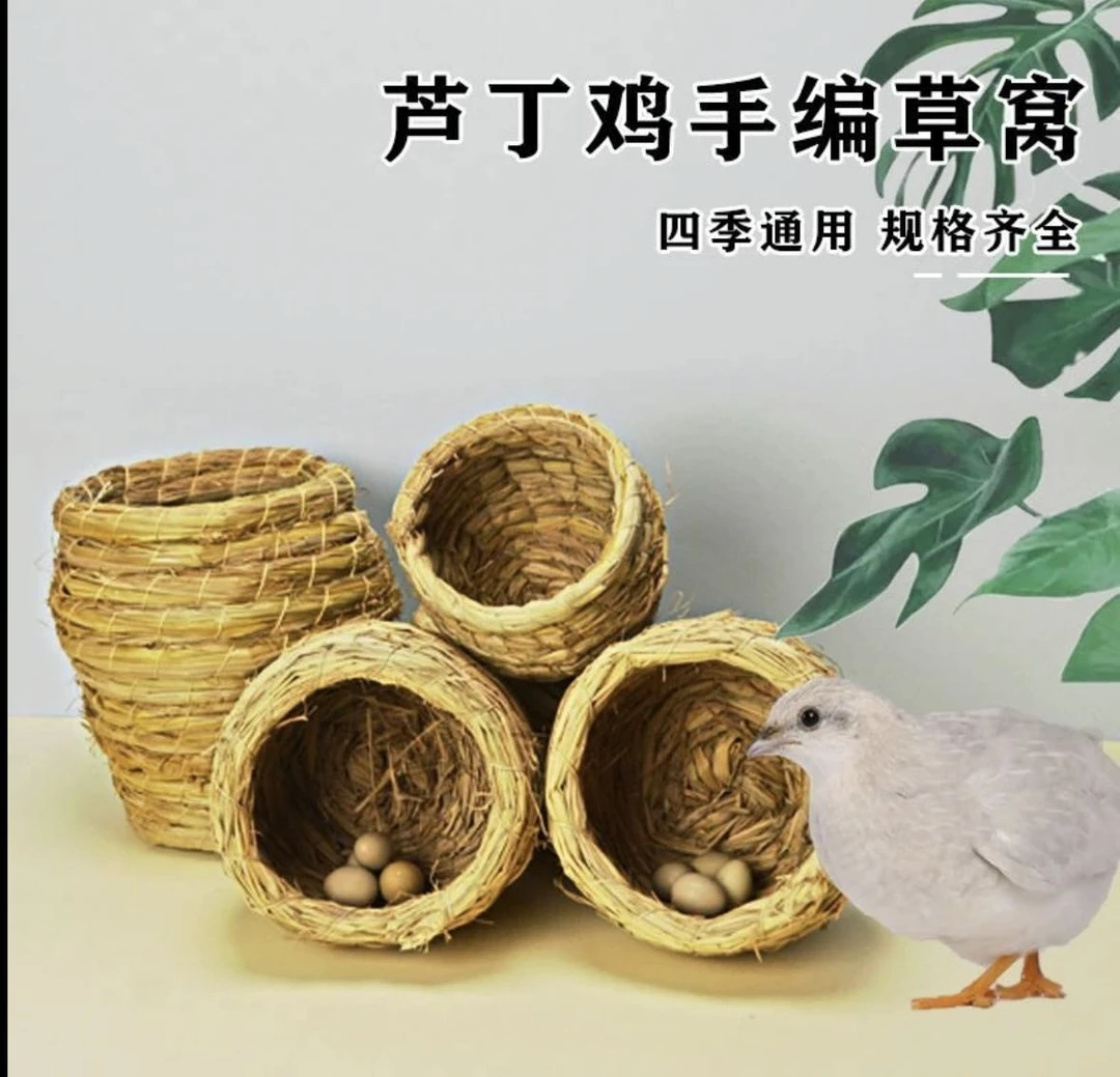 芦丁鸡草窝手工编织保暖防风防冷饲养箱鸟笼专用繁殖草窝