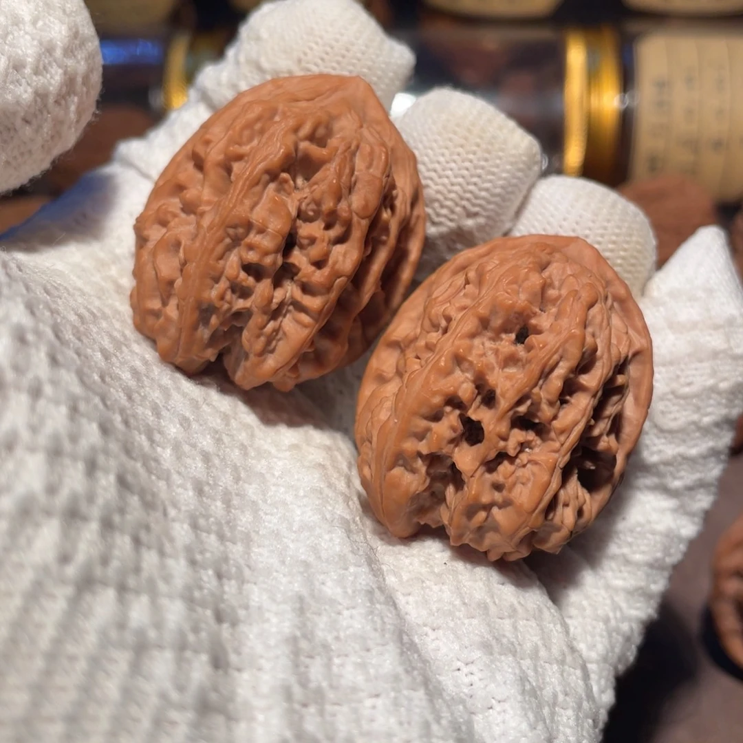 核桃蓟县红hhhhhh