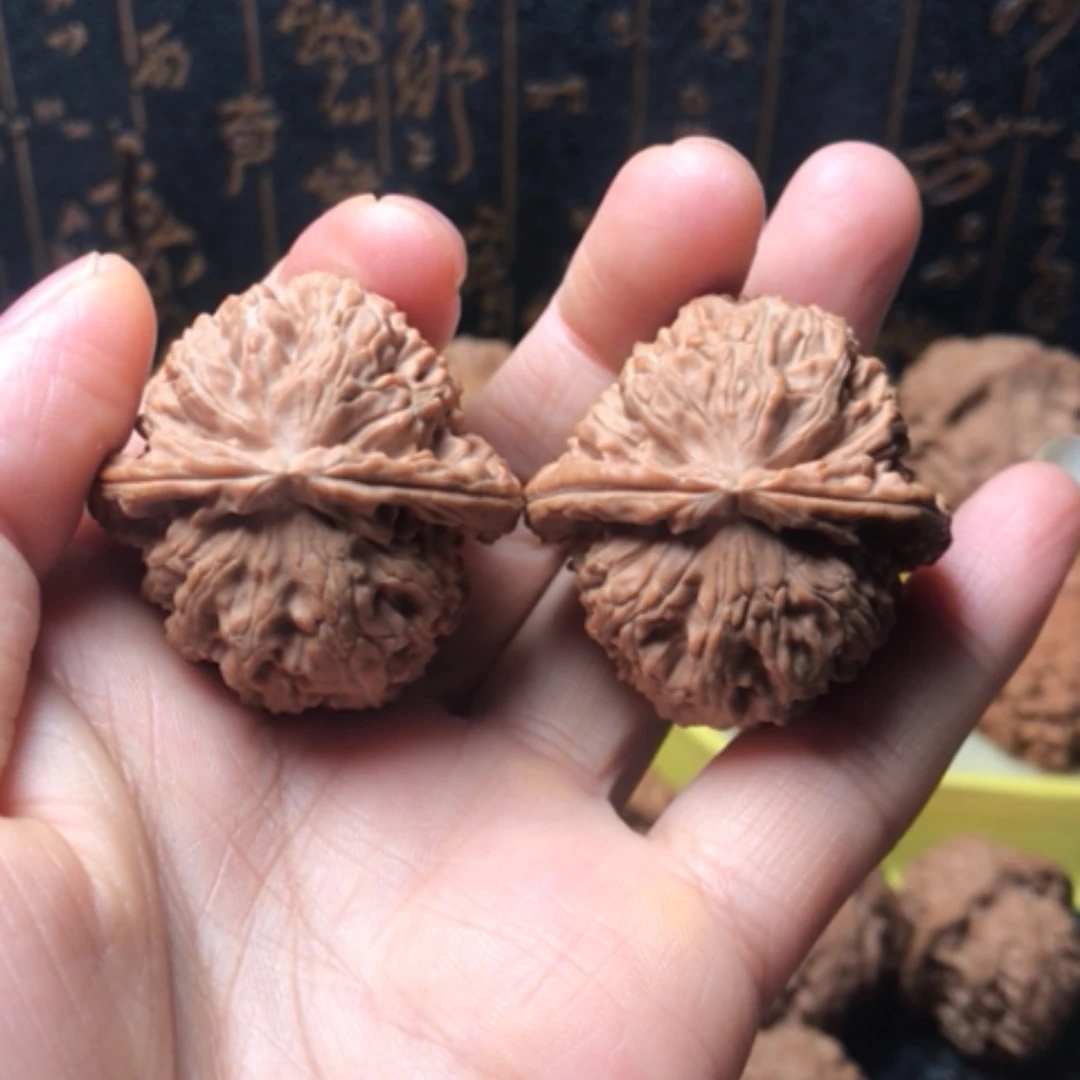 【闪购商品】核桃手串/手链三角白尺寸37