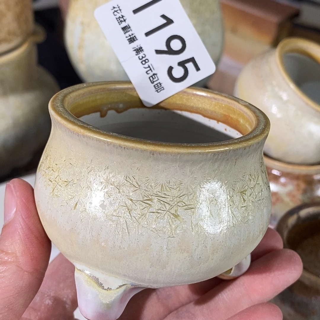 花盆花盆花盆花盆花盆