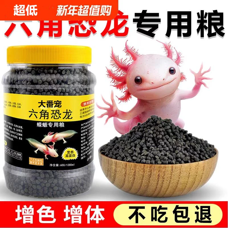 六角恐龙鱼饲料娃娃鱼东方蝾螈专用鱼粮六角龙六六沉底鱼食小颗粒