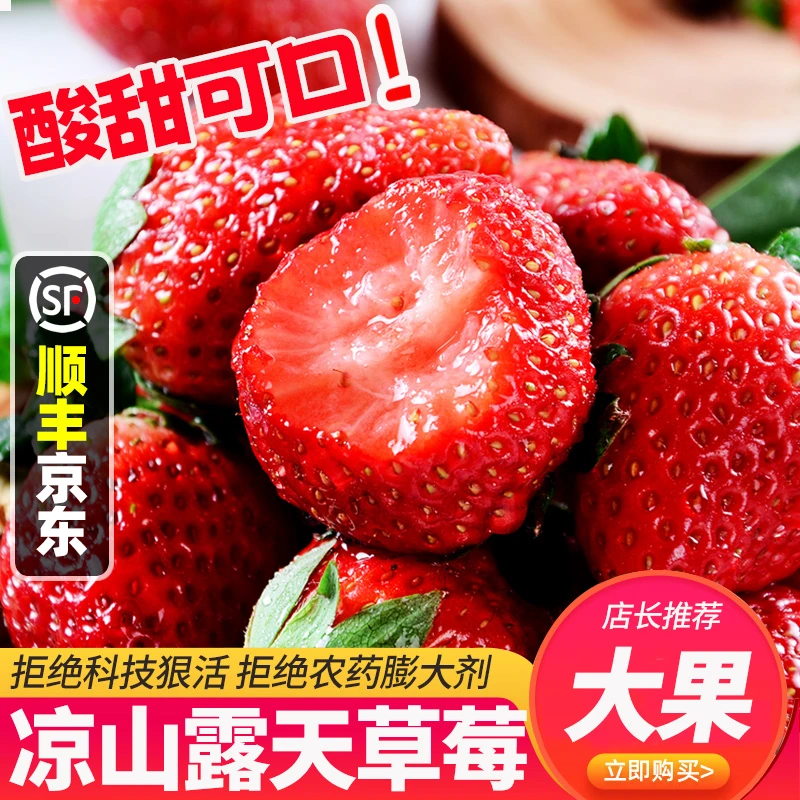 【送1盒】CC四川大凉山露天种植草莓新鲜水果顺丰京东包邮2-4盒