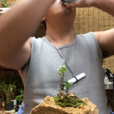 红陶一物一拍所见即所得106