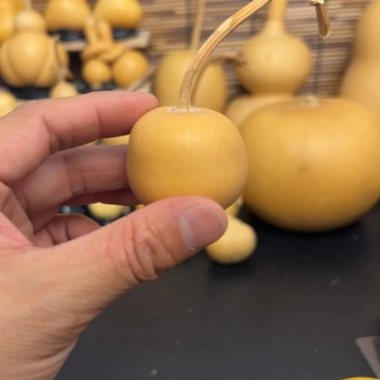 富*1888999952599999