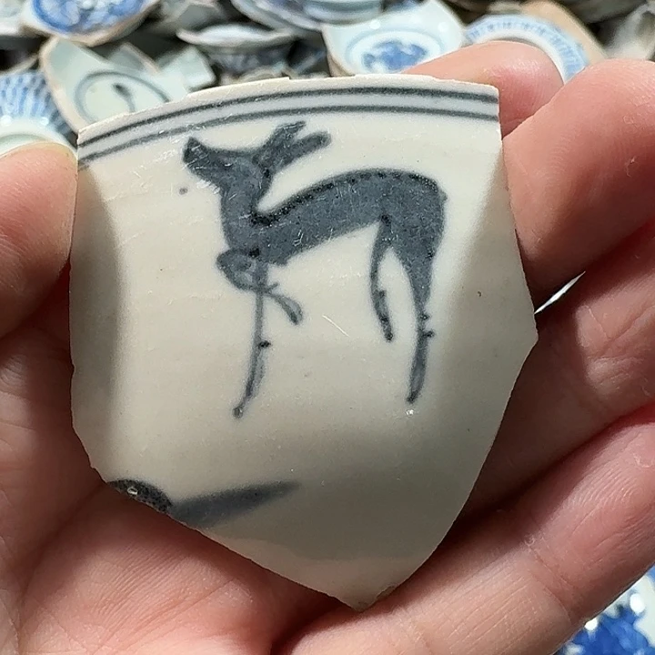 雷***柏瓷片瓷片标本，顺丰包邮