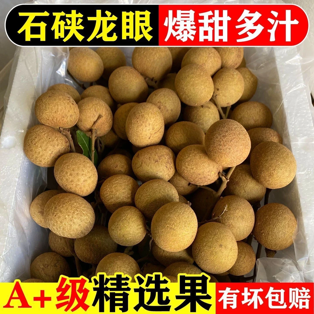 【冷链包邮】石硖龙眼新鲜正宗石硖龙眼龙眼当季新鲜龙眼