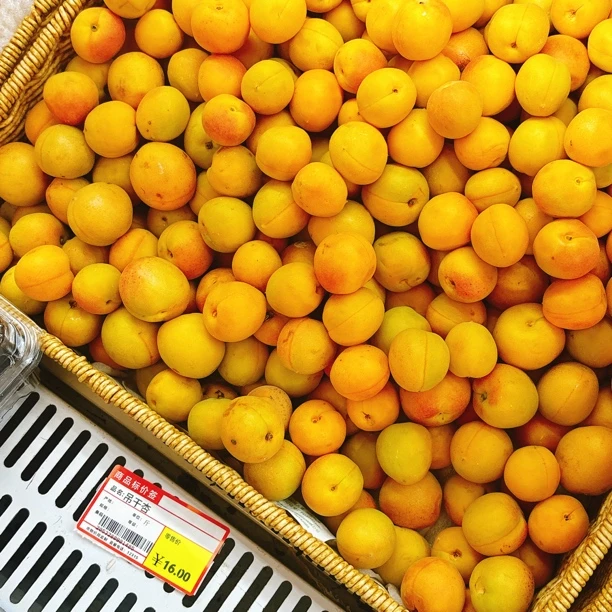 好吃的吊干杏500g黑龙江省