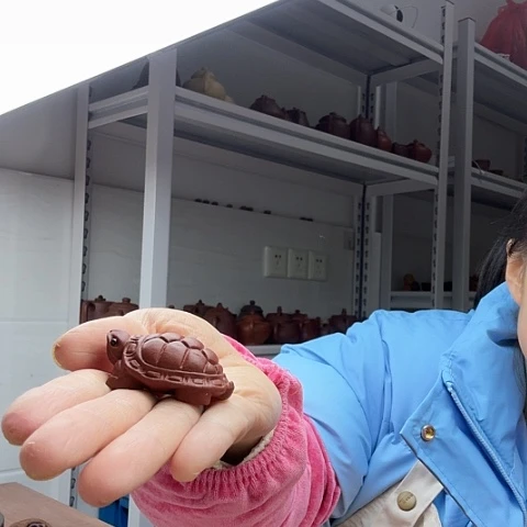 朱泥小乌龟茶宠茶宠