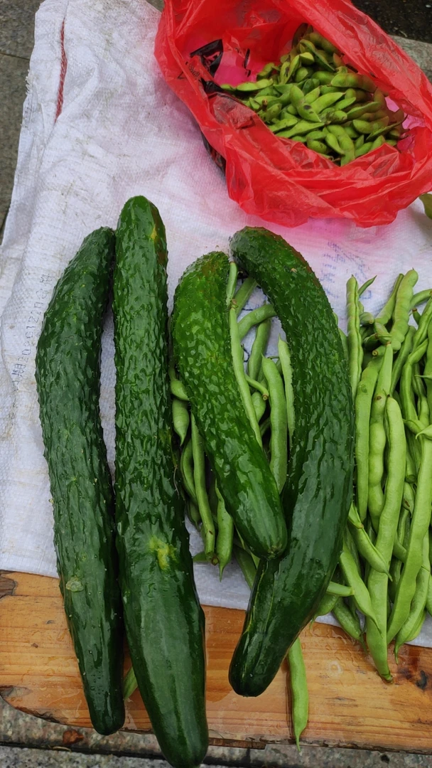 现摘现发露天头茬无公害黄瓜当季新鲜脆嫩青甜水果黄瓜