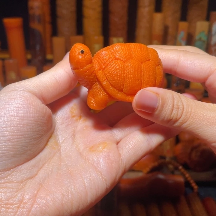 竹金丝竹小乌龟全品