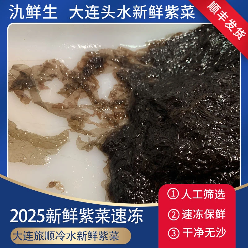 【紫菜】三斤大连旅顺当地紫菜新鲜无沙包饺子做汤速冻发