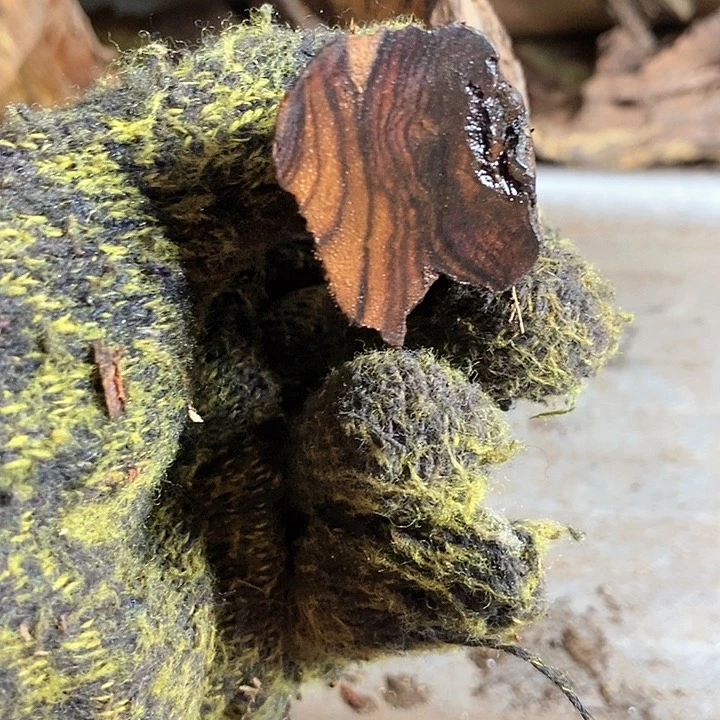 黄花梨/降香黄檀用****0