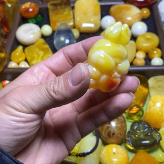 通***知白花俏色小白兔子