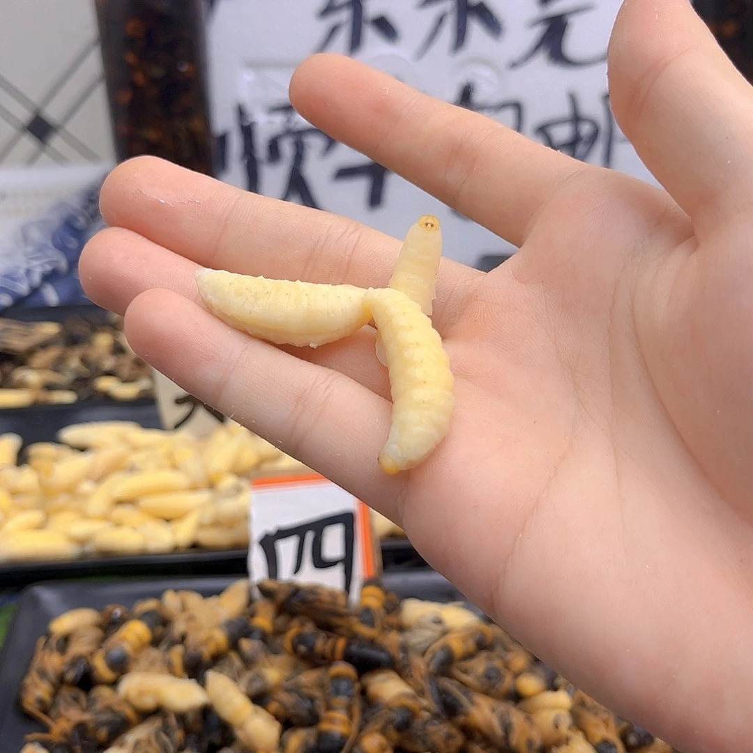 180中国大陆虎头蜂一级蜂蛹两斤装广东发货