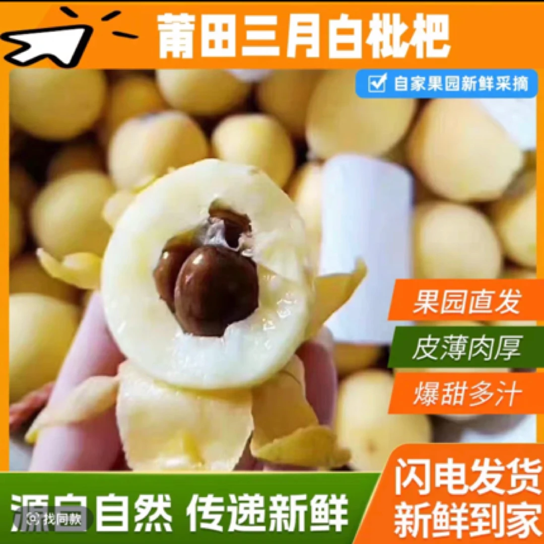 正宗莆田常太香妃白梨白玉枇杷新鲜多汁皮薄肉厚现摘现发顺丰包邮