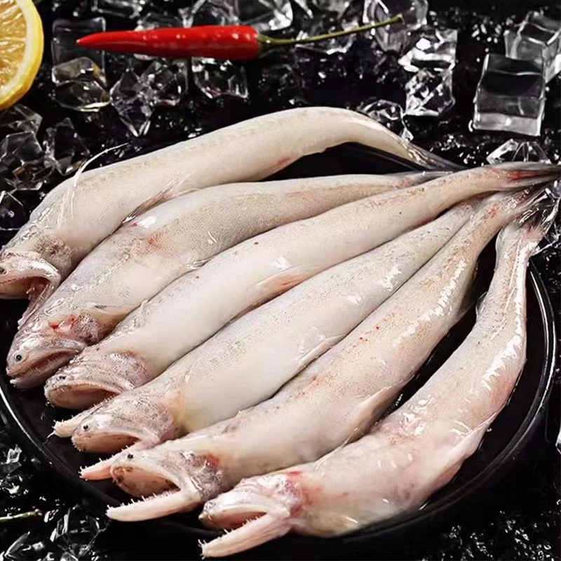 甄选豆腐鱼龙头鱼美味海鲜大头鱼水龙鱼新鲜九肚鱼水潺龙头鱼顺丰