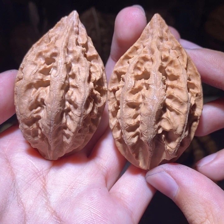 把件文玩核桃东北野生楸子小园 232