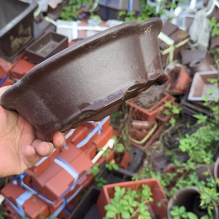一些有实力却没文化且缺乏素质但