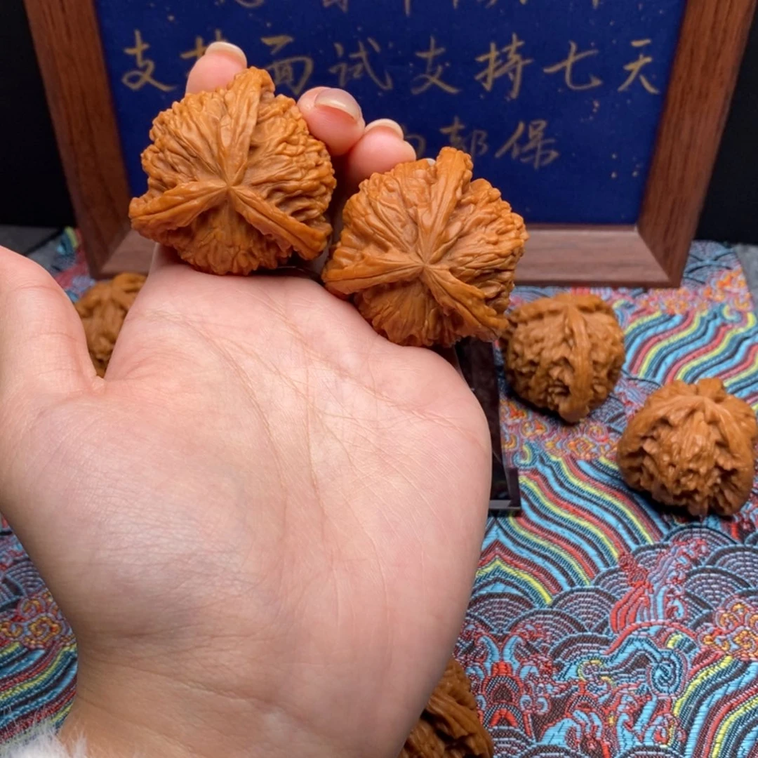 【闪购商品】?***?白狮