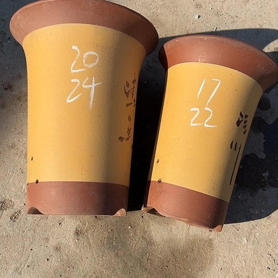 紫砂工艺厂……紫砂工艺厂……紫砂工艺厂……