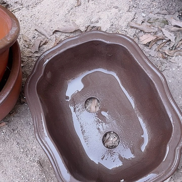 紫砂22莲花佳品倨傲