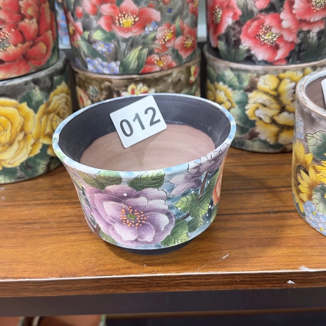 红陶小*4659565659599559599