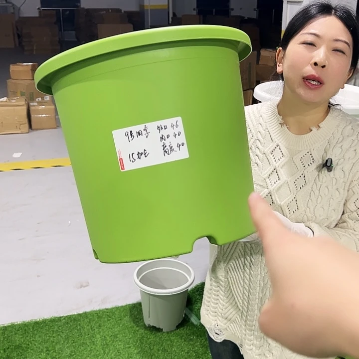 特价9号四季口46高40果绿12只无托