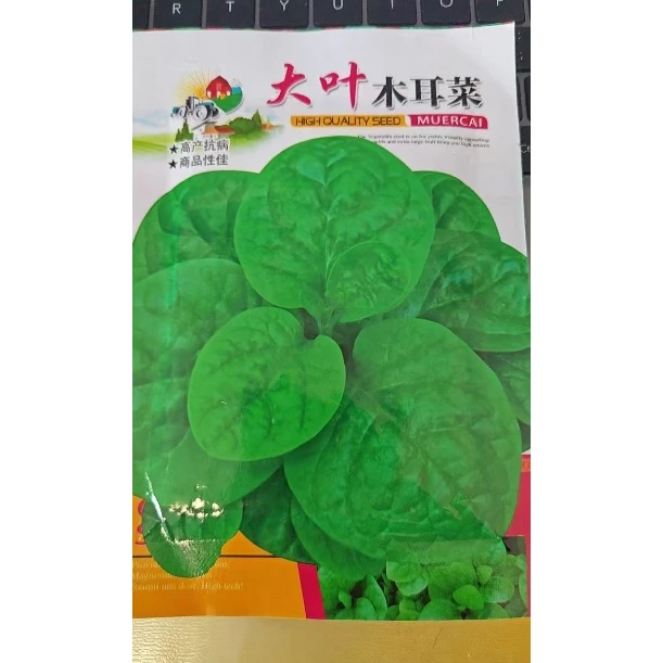 【满5包包邮】木耳菜秋冬种植的蔬菜种子
