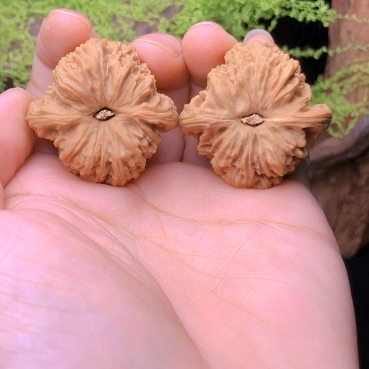 吊坠文玩核桃南疆石39