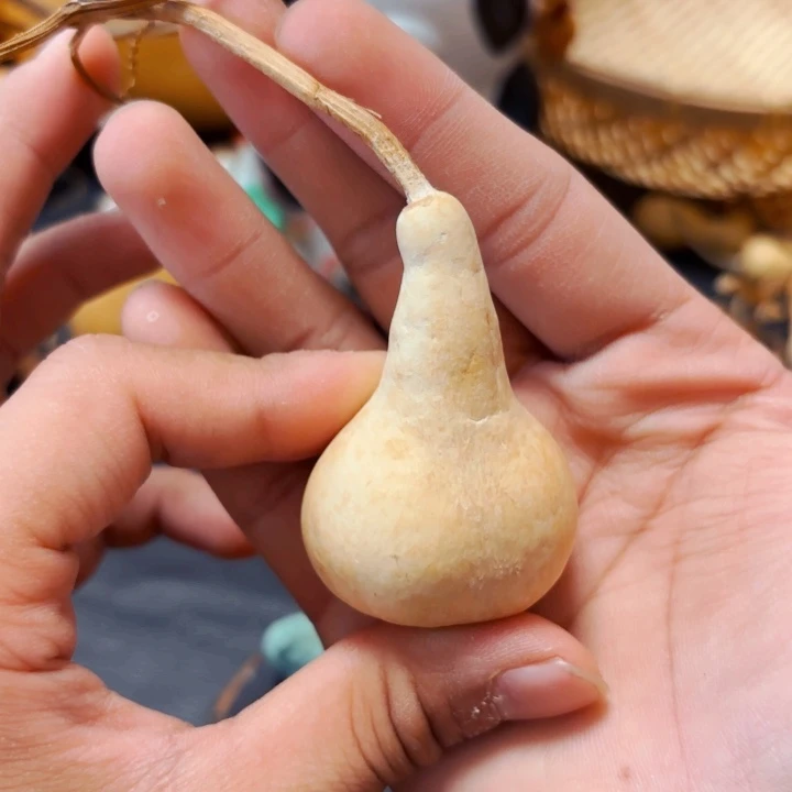 叮*88888888898889998888