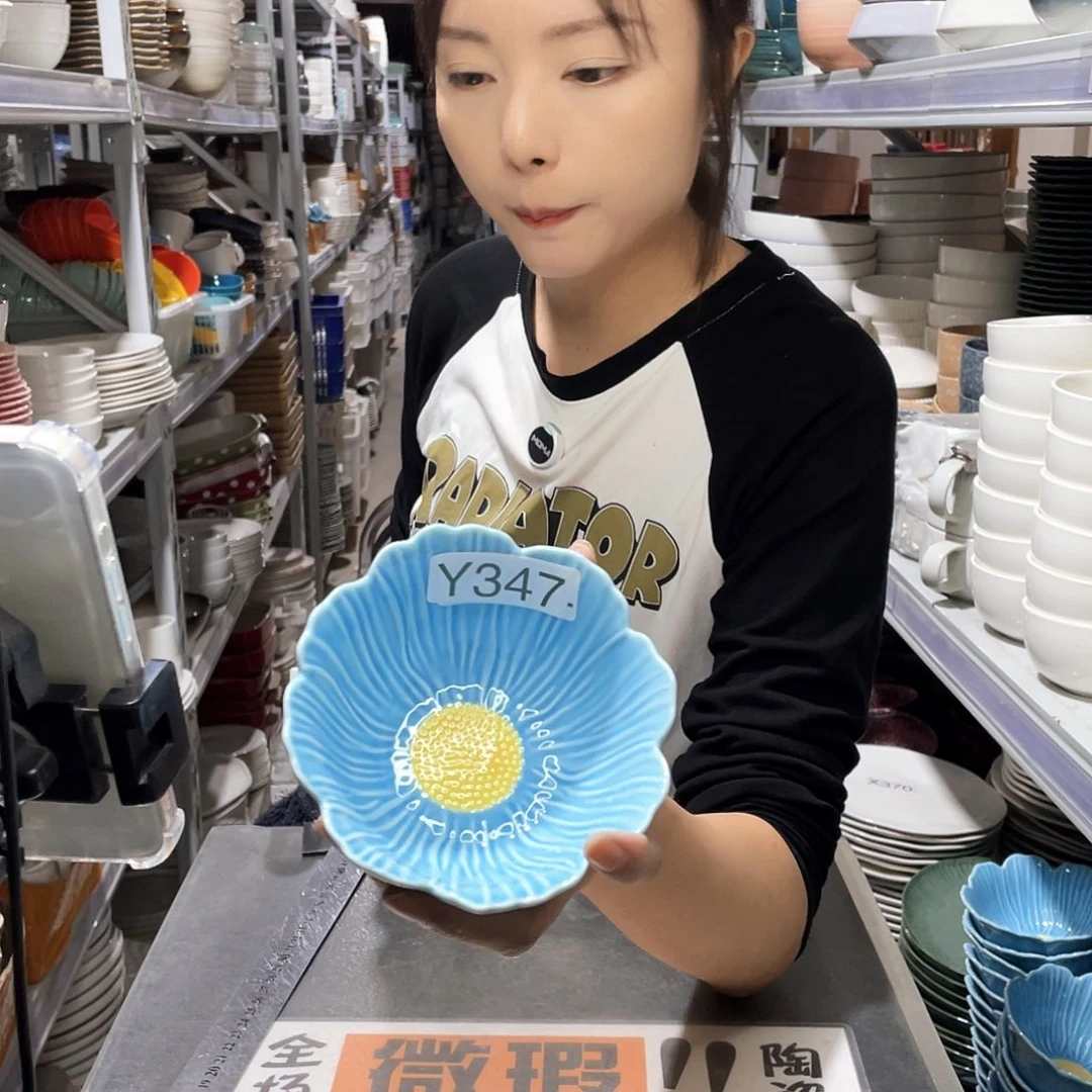 瓷片347             6个