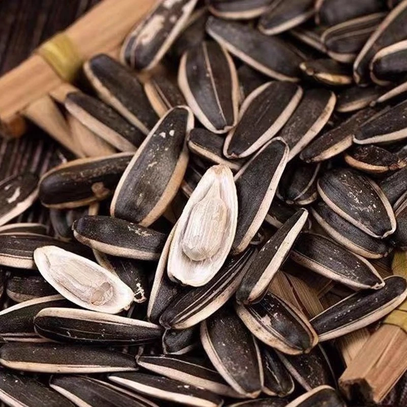 【只发新疆】憨壳原味瓜子食用日期至25年9月25日