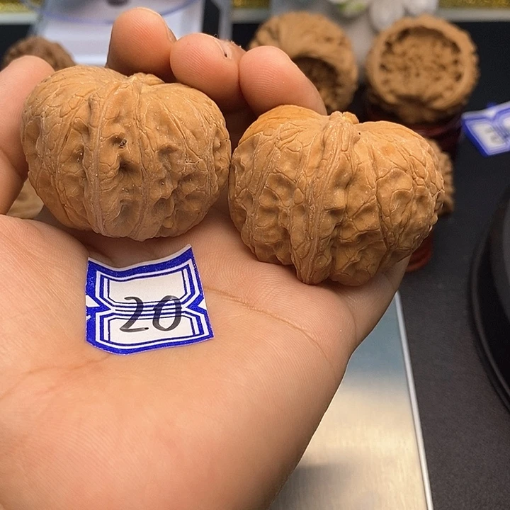张***一把件文玩核桃45元宝