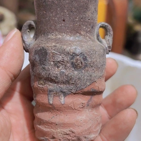 香榧木然*宝Fgfhfgghghg