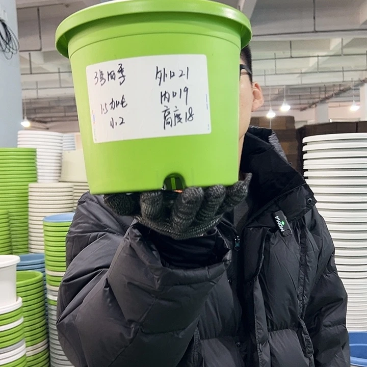 特价3号四季口21高18果绿无托10只