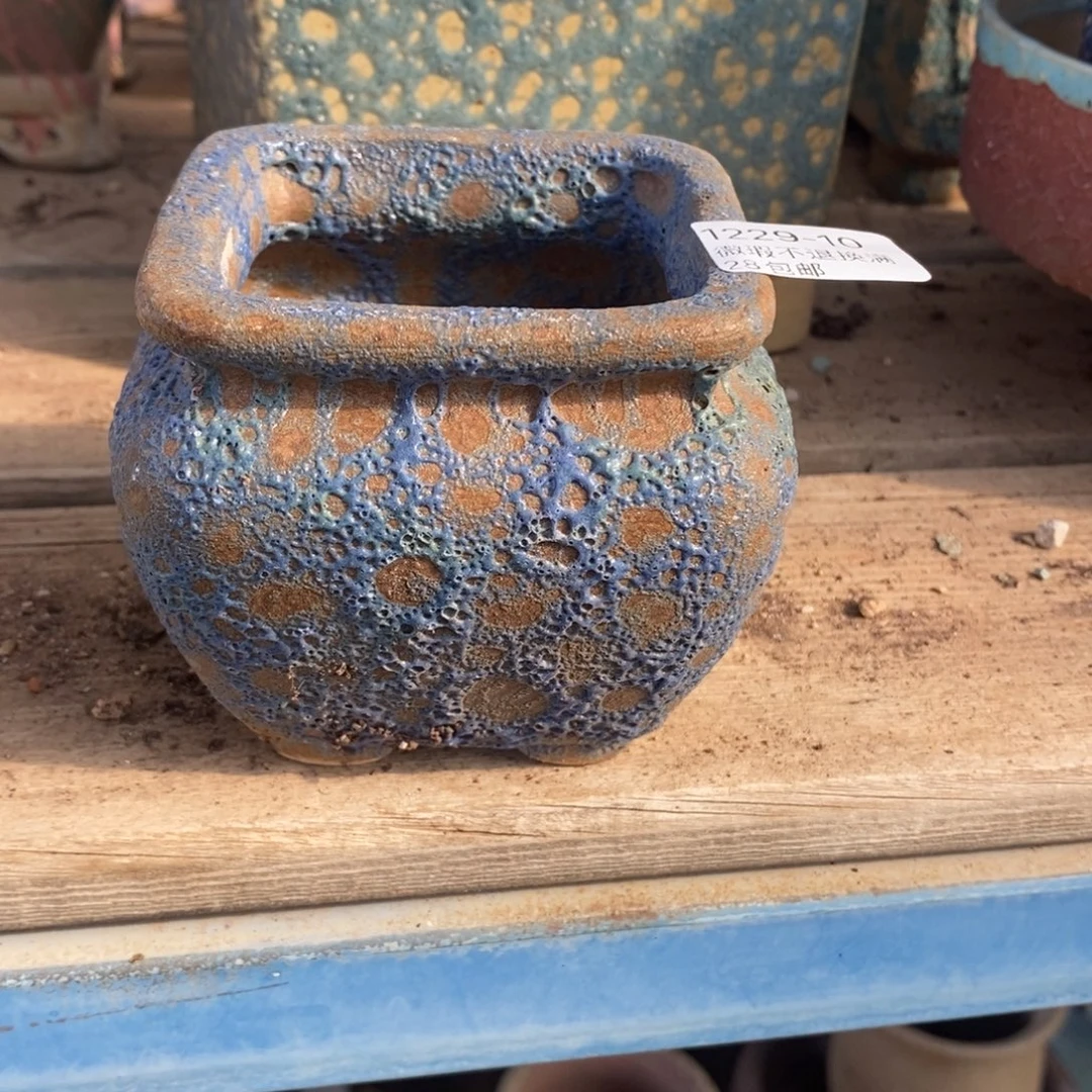 10号多肉盆口径6.5