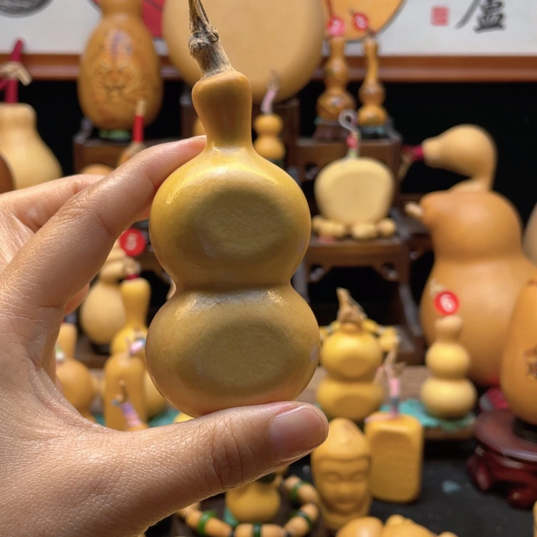 略****.大自然的秘密第十一节的
