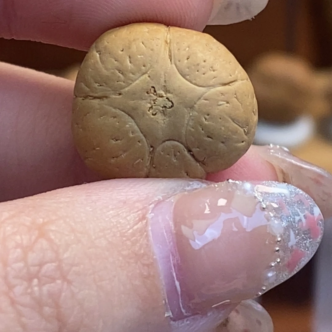 吊坠凤眼菩提五星