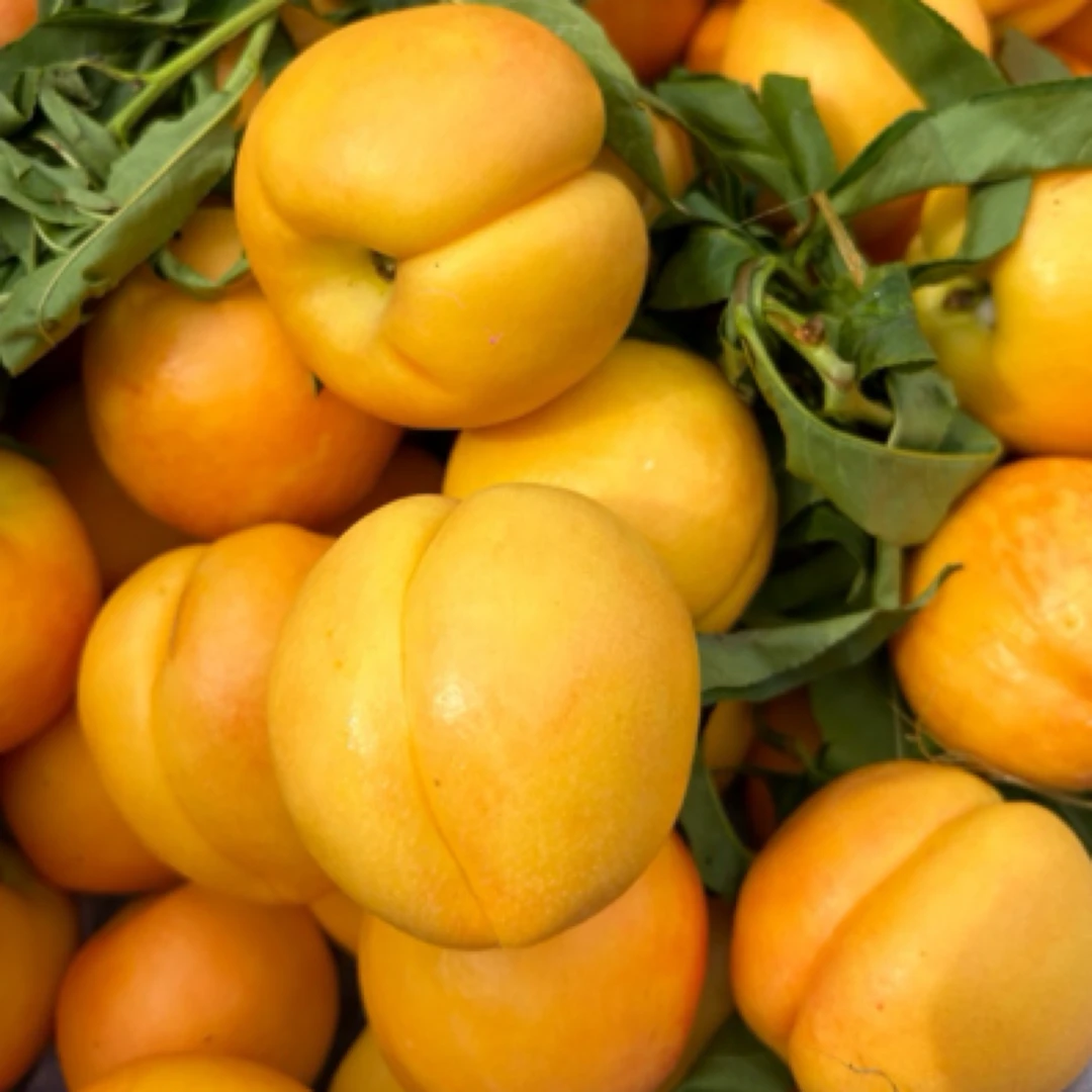 【抖音小时达】黄油桃油桃9.9/3斤山东省