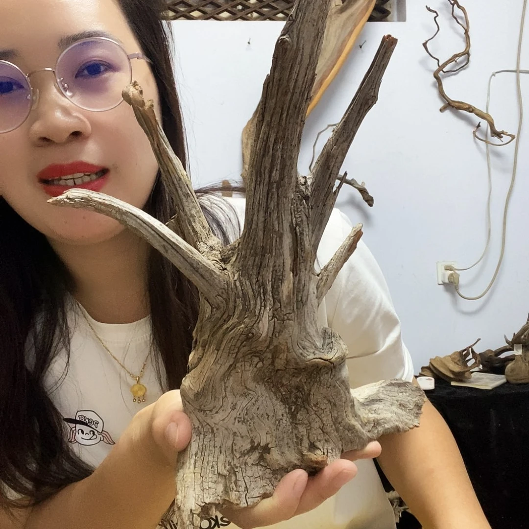 把***住香榧木今天晚上吃什么好吃的