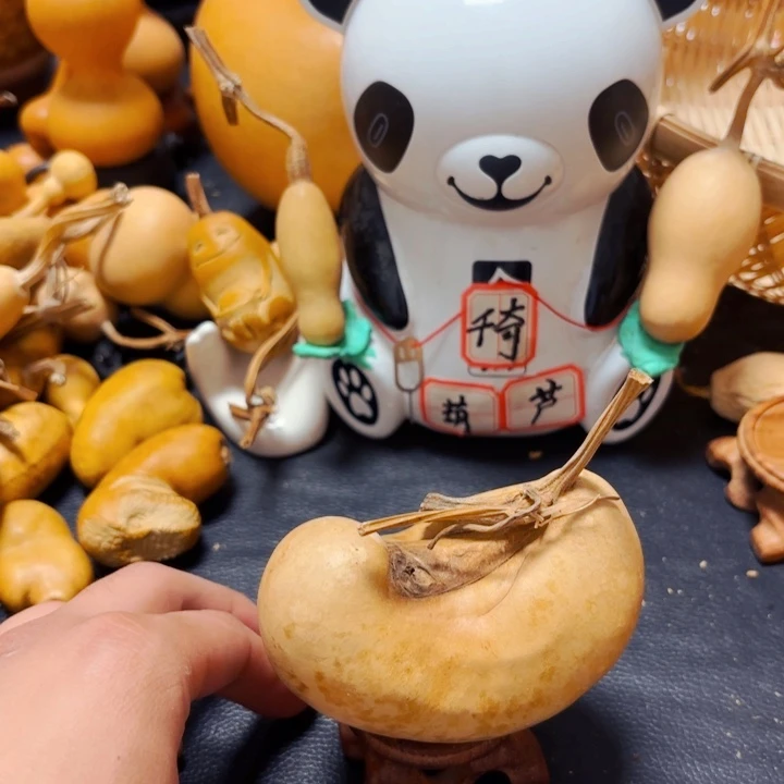 ✨***弟8888888888888888888